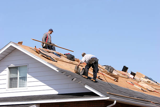 Best Roof Moss and Algae Removal  in Mendota, IL